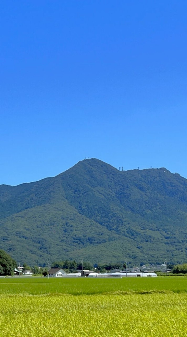 春の筑波山へ行こう！✨🌸🌳
