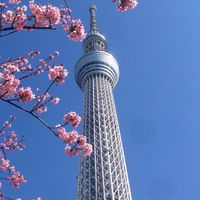 小晴天連線代購🇯🇵北海道連線