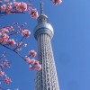 小晴天連線代購🇯🇵9月底東京連線～