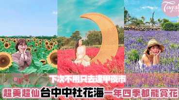 台中只知道逢甲夜市？一生四季都能賞花的中社花海了解一下！被花圍繞的感覺如走進歐洲莊園～