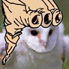 ジョジョが好きな人の集まり