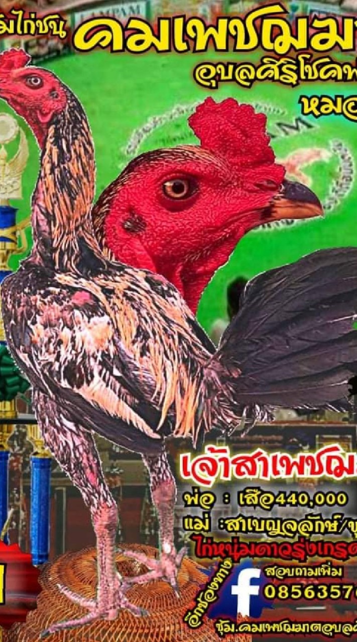 ซุ้ม.คมเพชฌฆาต (หมอคม) อุบลศิริโชคฟาร์ม