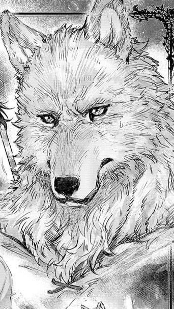 กลุ่มนักวาดเคโมะเเละfurry