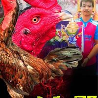 🦑ปลาหมึก 🐔ไอรินฟาร์ม "พม่าโคกบักทัน พม่าบ้านนอก”🙏