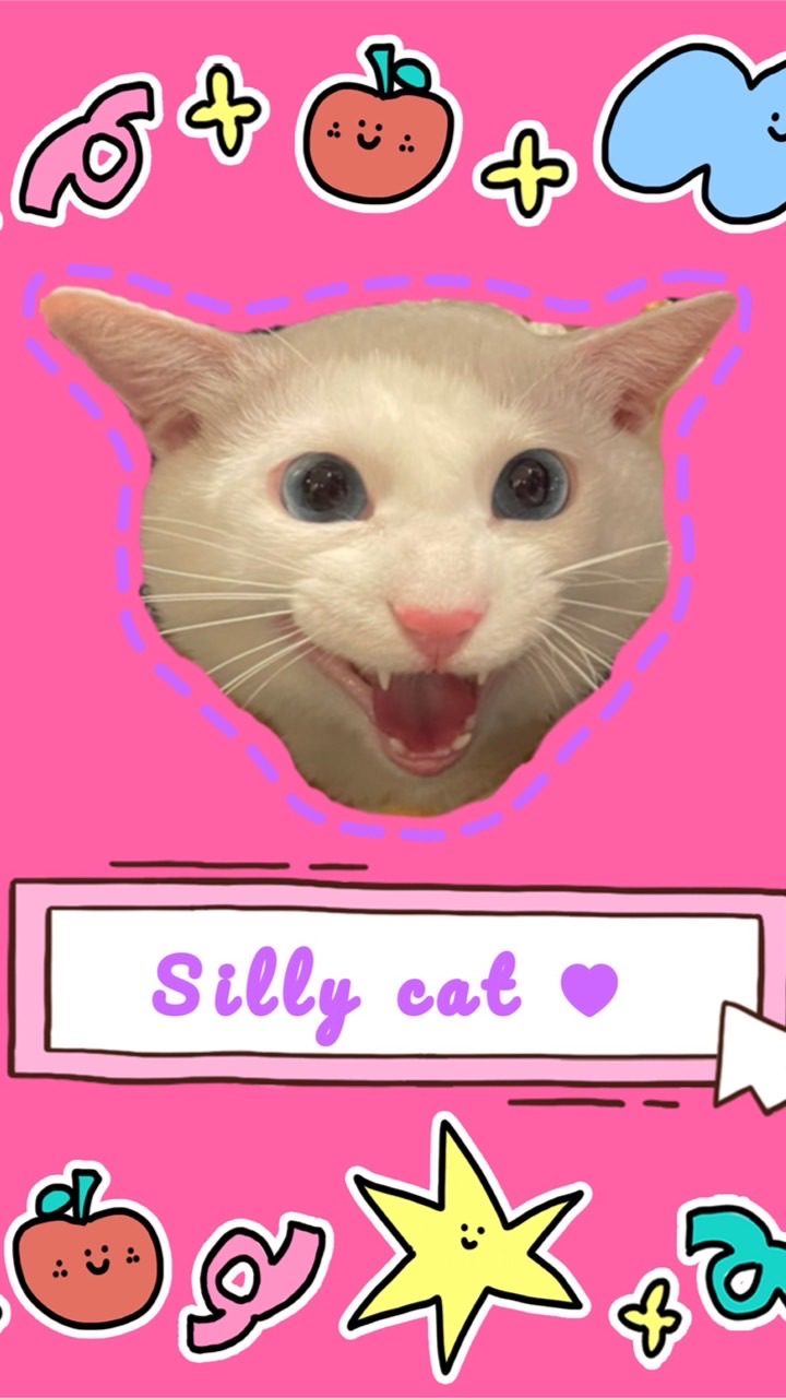 🌷笨貓＊擺件小舖＊SillyCat♥