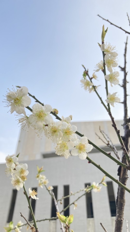 宜欣國小一年三班