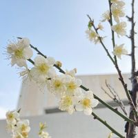 宜欣國小一年三班