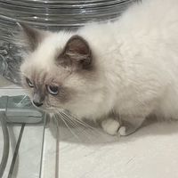 魚干的小隊♡︎