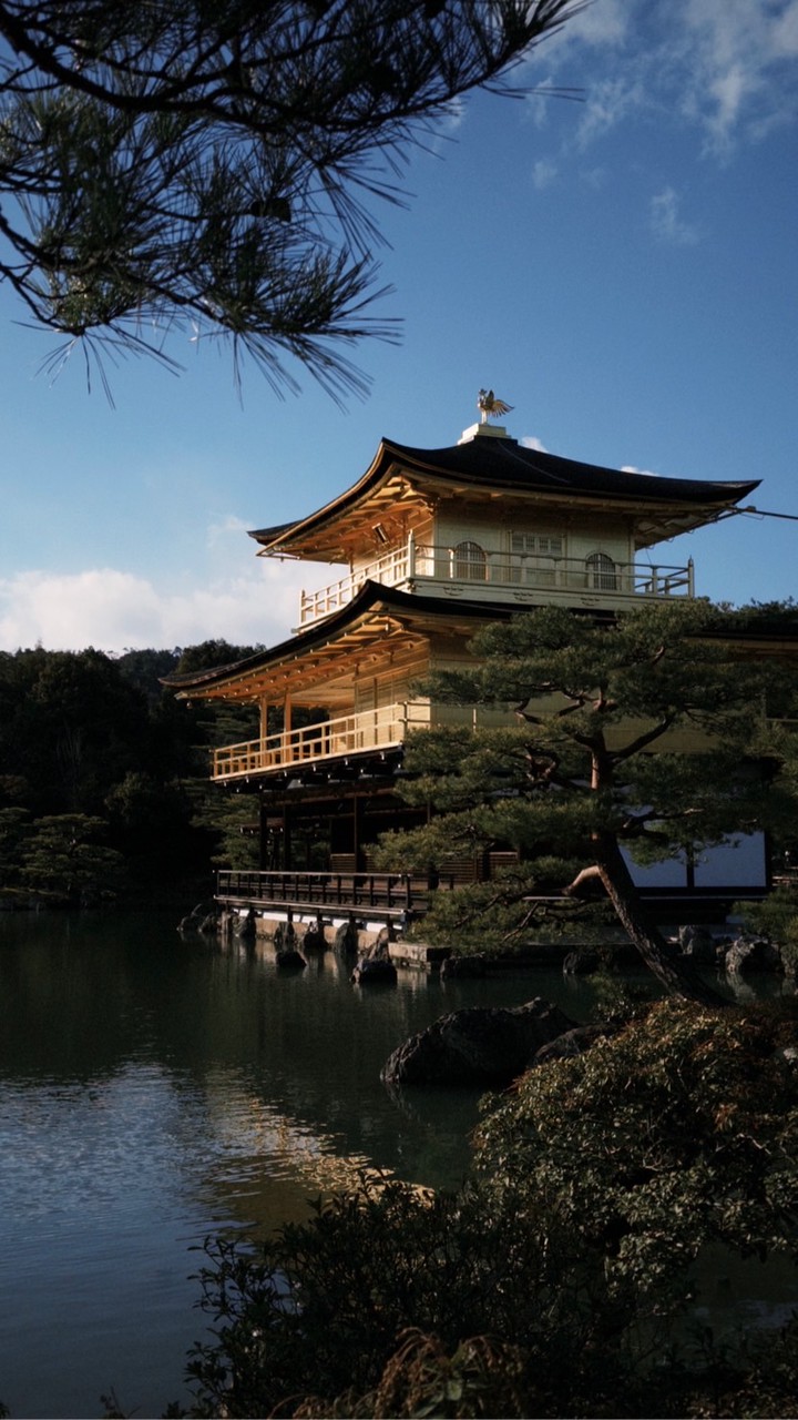 ✨加入金環球✨小許帶你趣旅遊