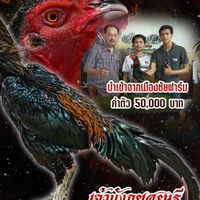 มังกรเศรษฐี ซุ้ม.สามพี่น้อง