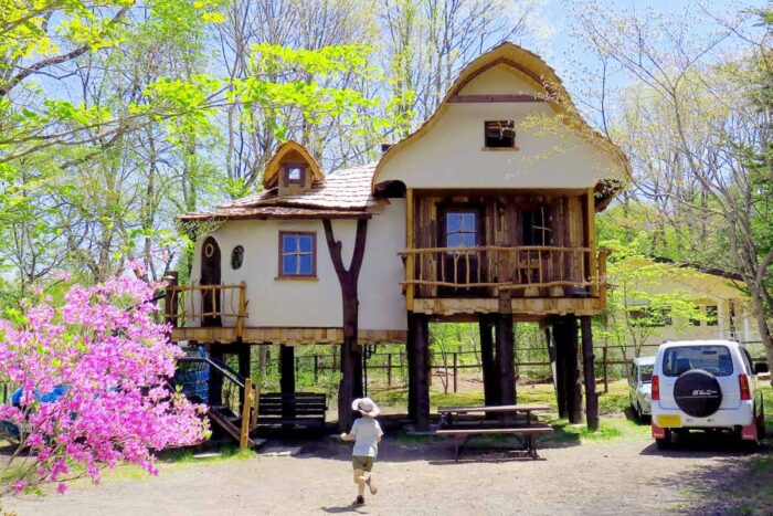 樹屋_スウィートグラス_蘑菇樹屋