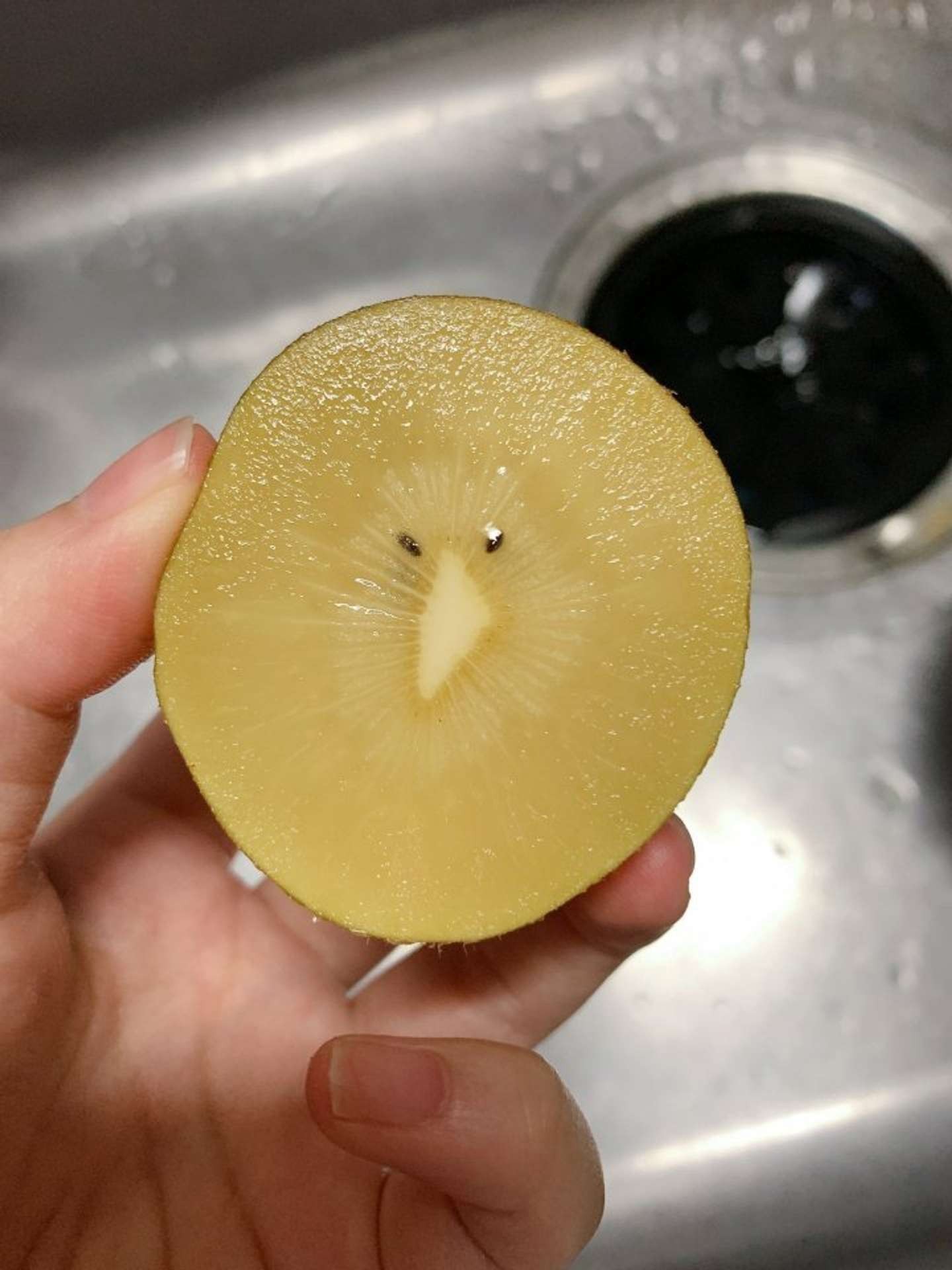 断面が鳥の キーウィ にしか見えないキウイフルーツが発見される