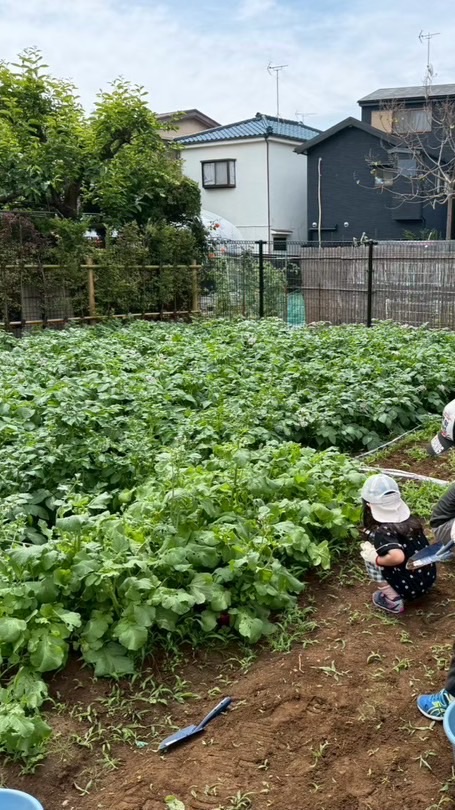 ししぼねベジフラブ　公園クラブ