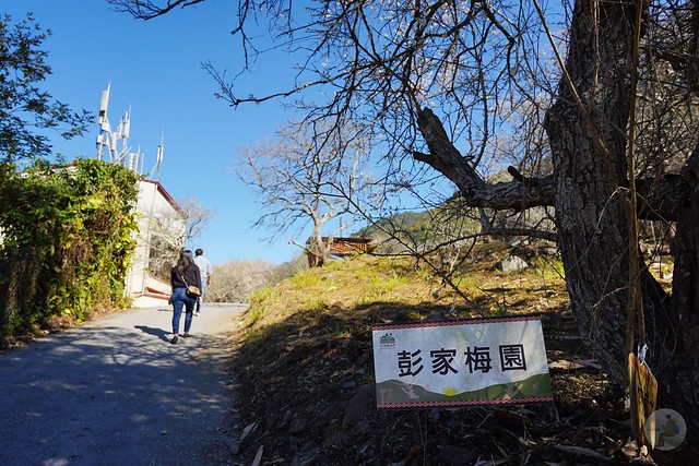 彭家梅園