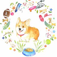 寵物狗狗🐶汪星球