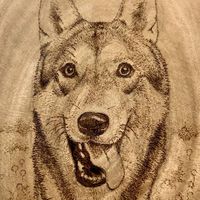 狗狗也瘋狂