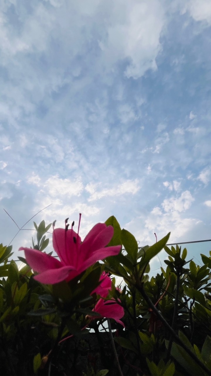 水污染空氣污染如何預防