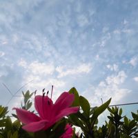 水污染空氣污染如何預防