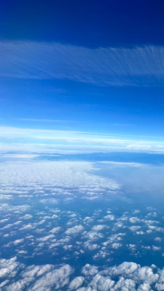 找到了～跟著龍龍🐉去旅行