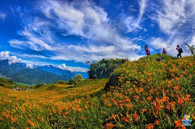 秋冬旅遊首選 花蓮十二項大型活動輪翻登場 野旅行 Line Today