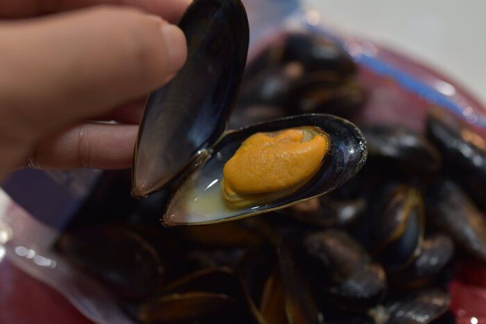 業務スーパーの冷凍ムール貝は使いやすい お得すぎる食材