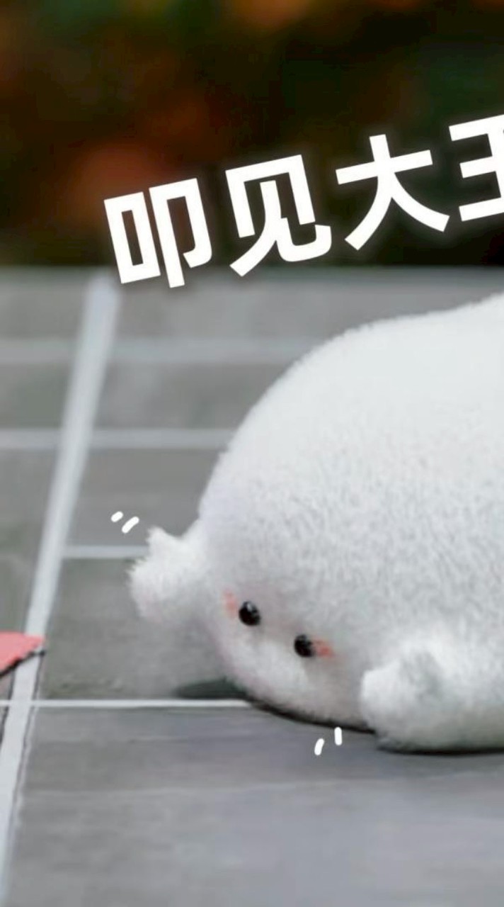冷月粉絲群（粉絲）抽獎／福利
