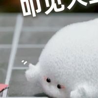 冷月粉絲群（粉絲）抽獎／福利