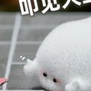 冷月粉絲群（粉絲）抽獎／福利