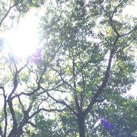 超多界隈ばなしオプ(銀魂多め)