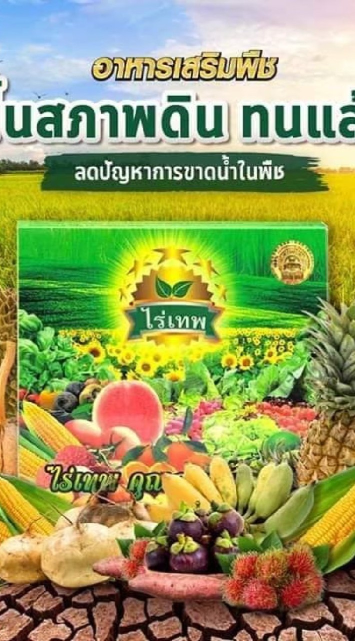 กลุ่มลูกค้าไร่เทพ-สั่งซื้อราคาโปรโมชั่น