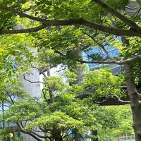 【28卒】就活情報共有・企業分析・業界研究対策グループ