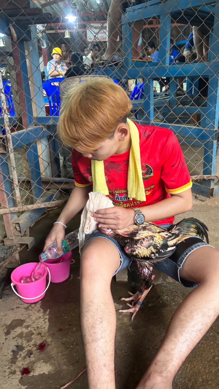 ท.เทพบุตร98ฟาร์ม