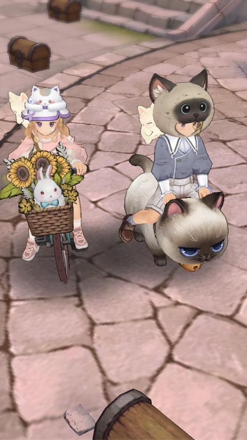 BLACKCAT TOS