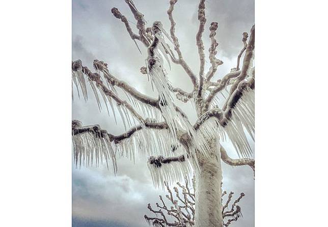 Ini 15 Foto Terbaik 2017 yang Diambil Menggunakan iPhone