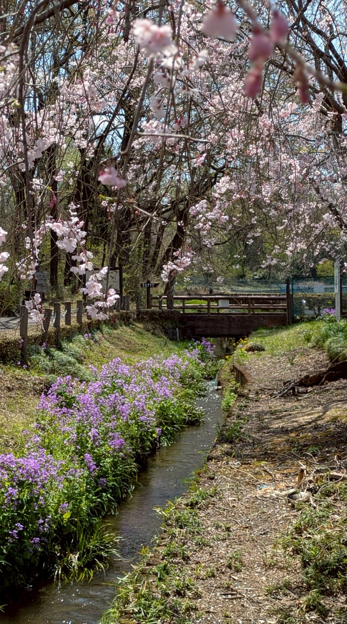 R8 西分町内会班長