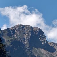溫室隊