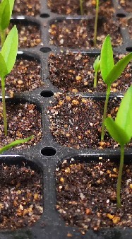 農ゼミ新歓合同チャットのオープンチャット