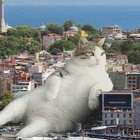 迷音萌圖梗圖美圖