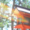 双極性障害II型の憩い場