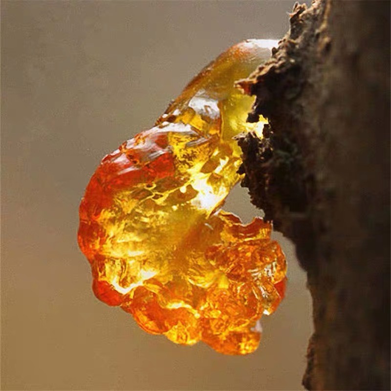 鄉村桃膠，野生老桃膠樹生產的樹汁膠液曬乾成型，經過人工採集去除樹皮雜質，陽光曬乾顏色較深。水蜜樹桃的樹葉及樹皮多少都會沾黏在桃膠上，經過浸泡的過程會發泡而掉落，完成浸泡在清洗的時候再將樹皮及樹葉用手捏