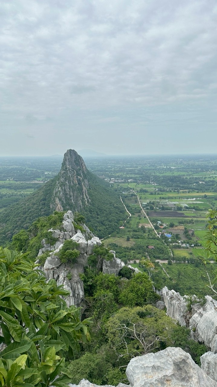 05206546 พันธุศาสตร์จุลินทรีย์ 1/69