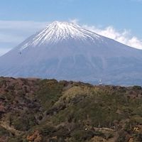 早起きは三文の徳