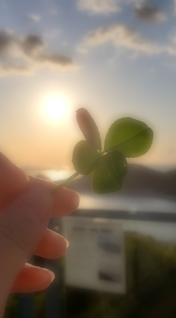 🌸大村市・諫早市限定                         子育てお得情報🍀🌷🍒