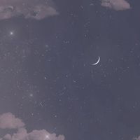 星の瞬きほどの命を燃やす全緩也  。