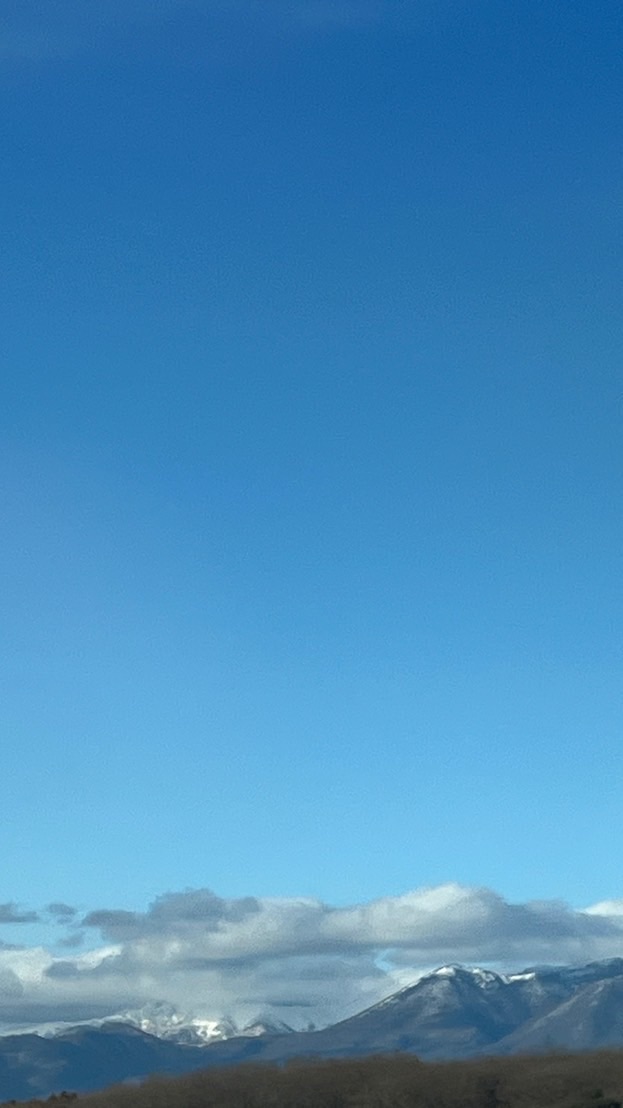 ほのぼのふんわりチャット