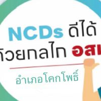 อสม.ผู้ช่วยสาธารณสุข อ.โคกโพธิ์