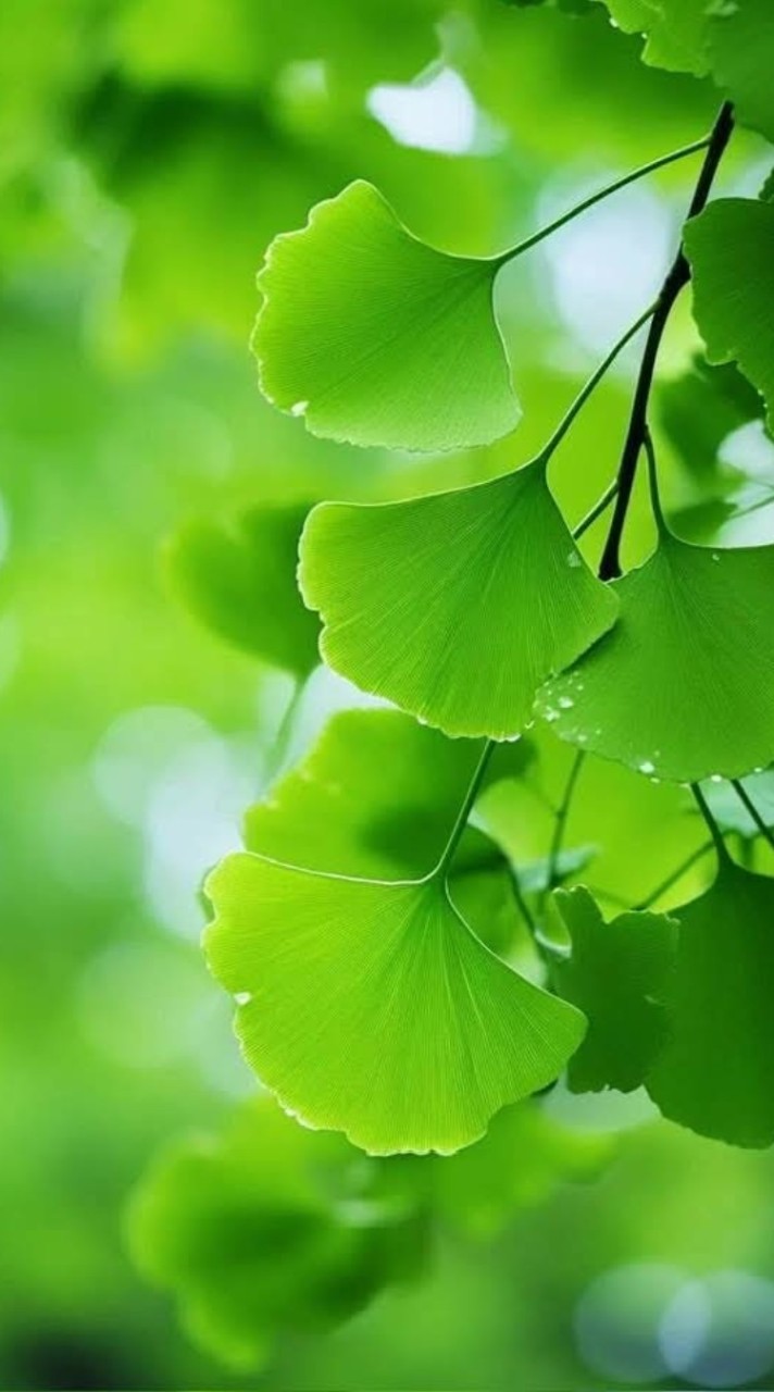 新市國小新住民班