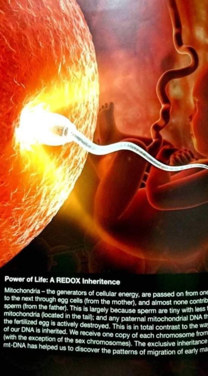 Asea Power of you