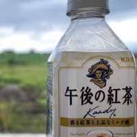 午後の紅茶協会