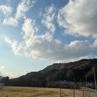 ペニンシュラ詐欺なしトレード
